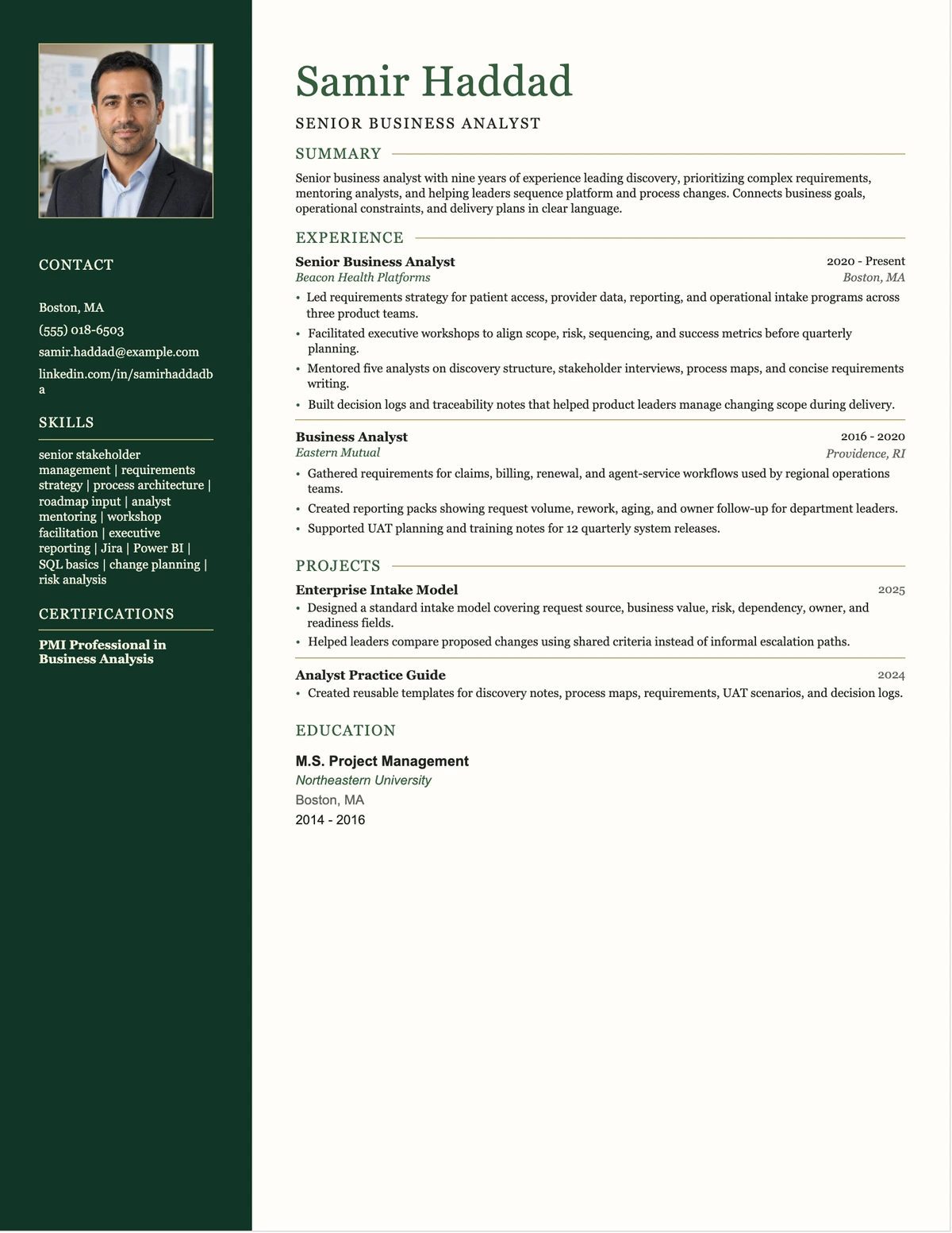 Senior Business Analyst Resume resume example preview