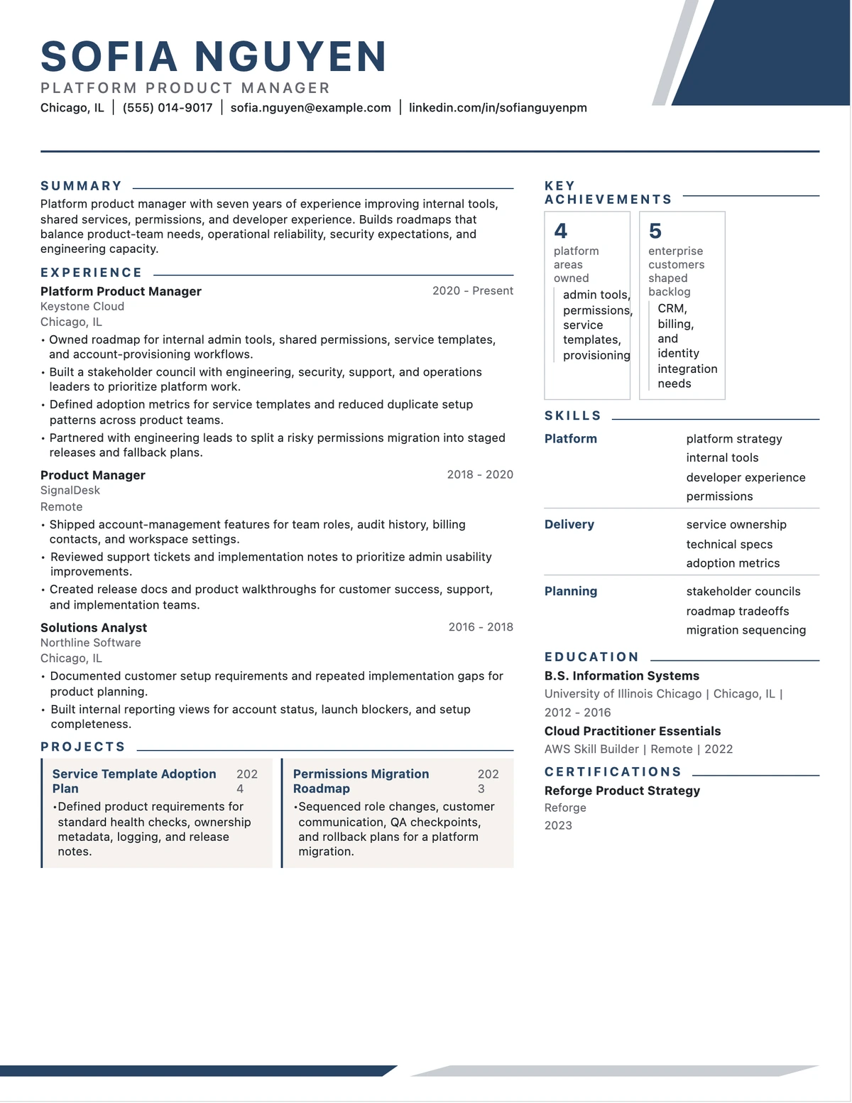 Platform Product Manager Resume resume example preview
