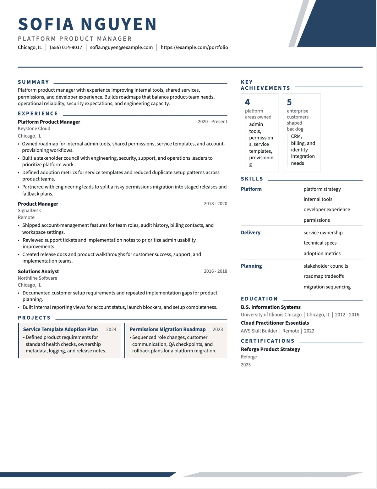 Platform Product Manager Resume resume example preview