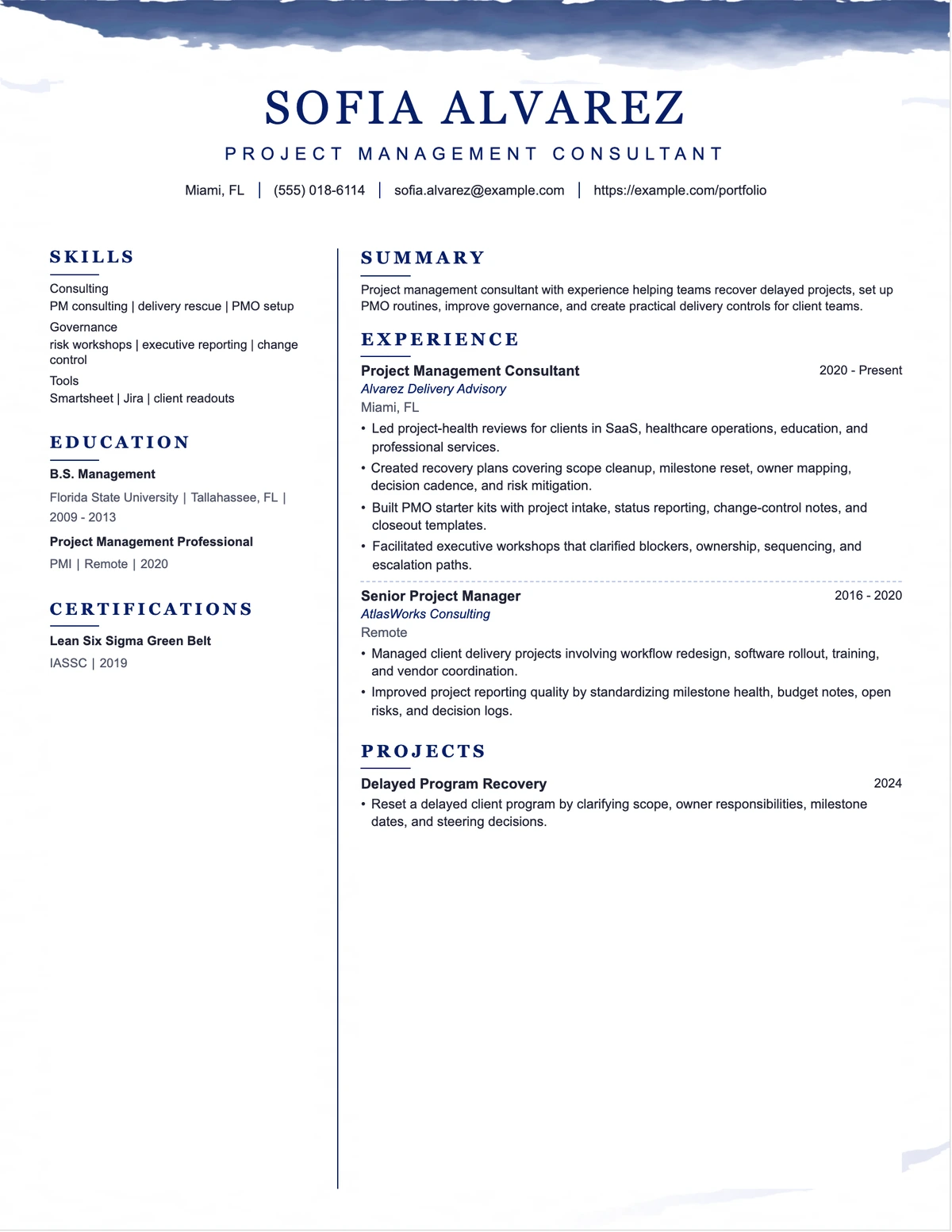Project Management Consultant Resume resume example preview