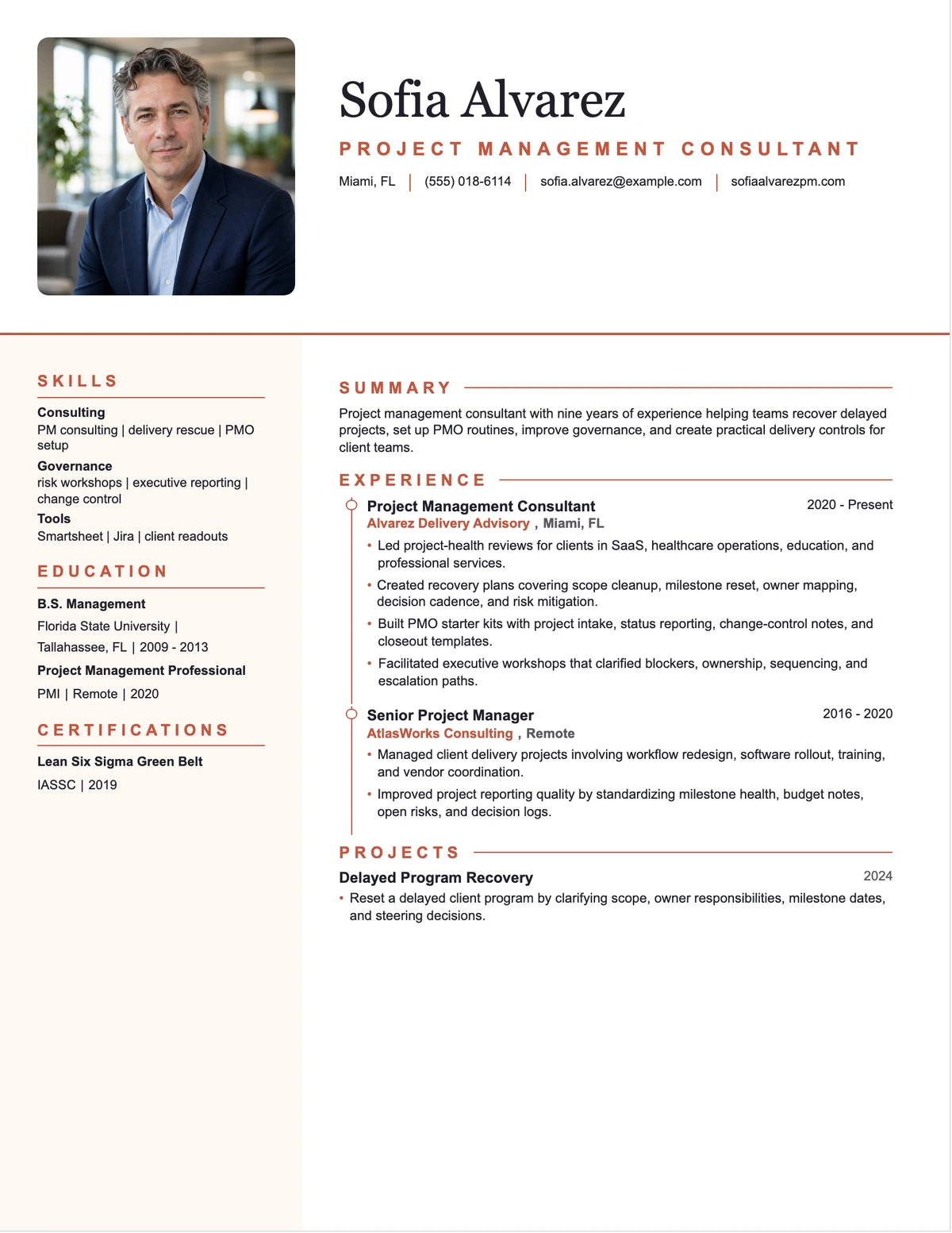 Project Management Consultant Resume resume example preview
