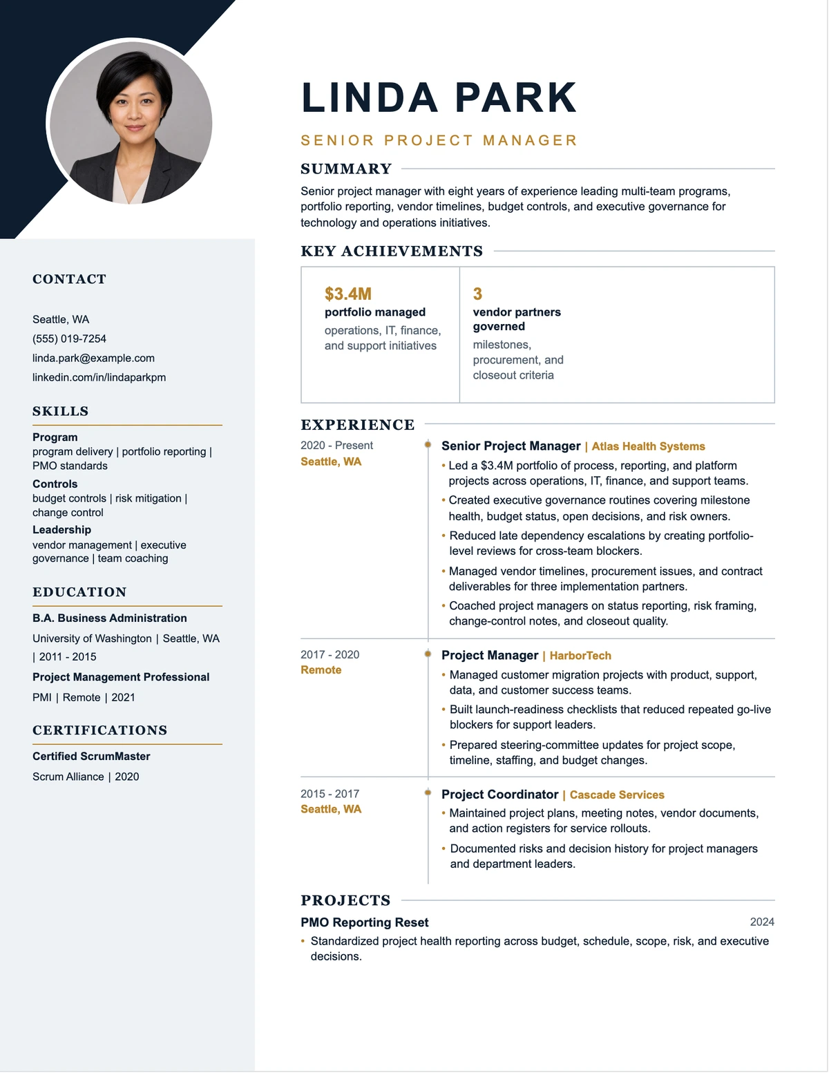 Senior Project Manager Resume resume example preview