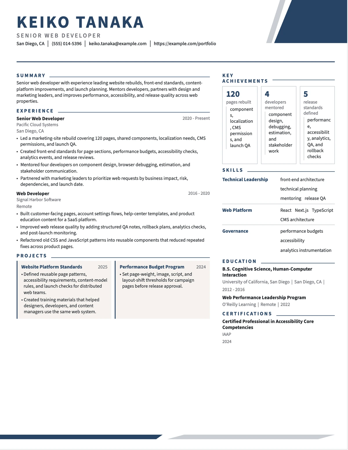 Senior Web Developer Resume resume example preview