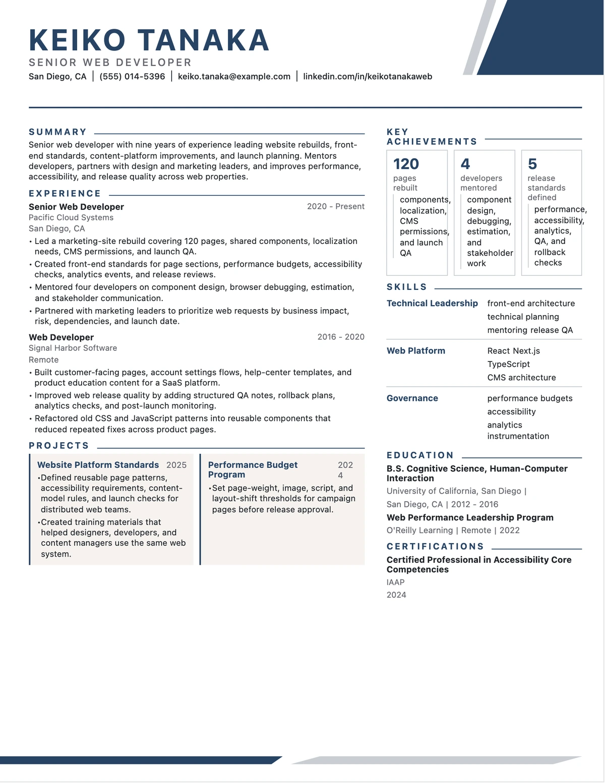 Senior Web Developer Resume resume example preview